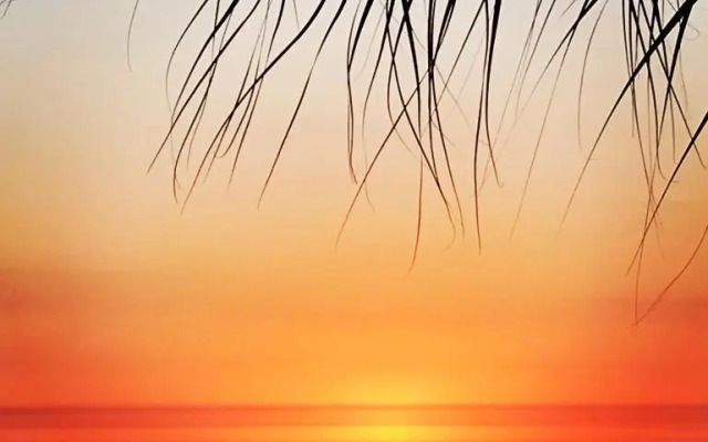 309 Beach Place Condos