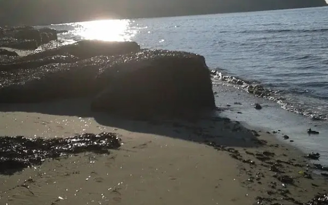 Il Patio Del Cilento