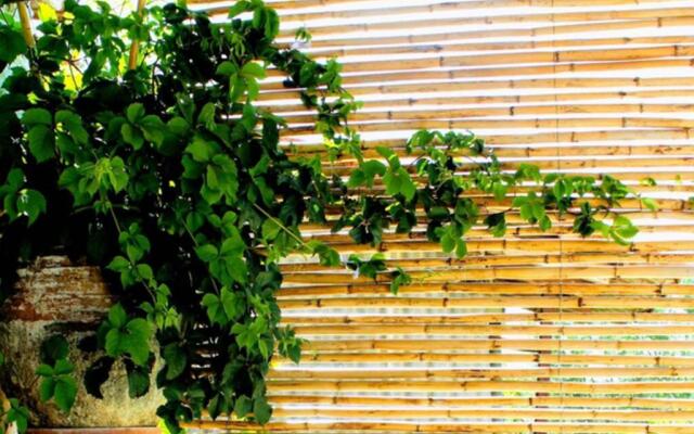 Traditional Stone House at Great Location