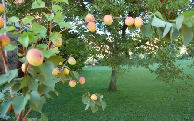 B&B Cherry En Rose