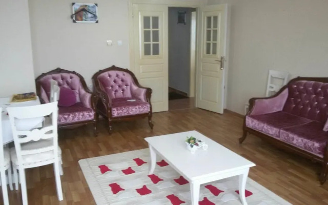 Cinaralti Apart