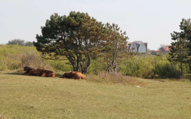 Elegant Apartment in Bergen aan Zee near Beach