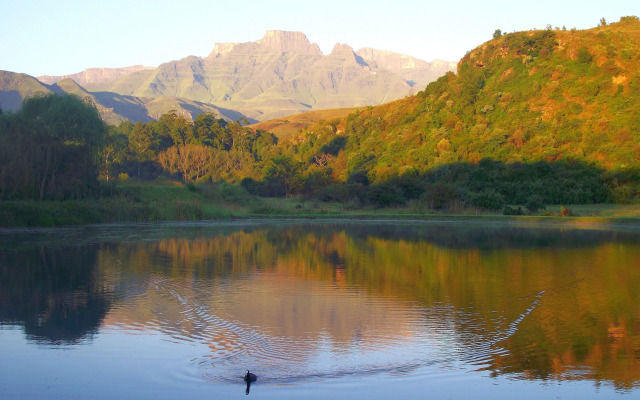 Dragon Peaks Mountain Resort