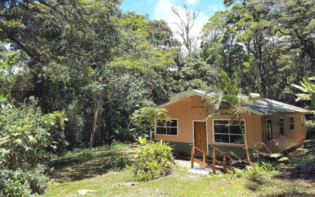 Forest Garden House