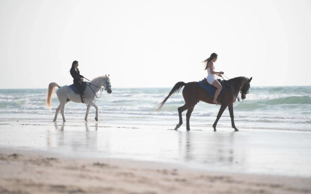 Umm Al Quwain Beach Hotel