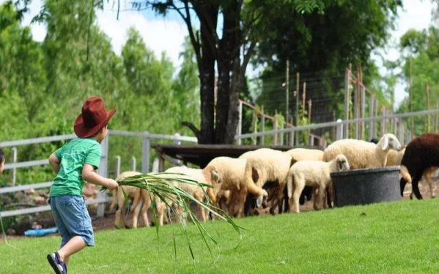 Bellissimo Cafe & Resort