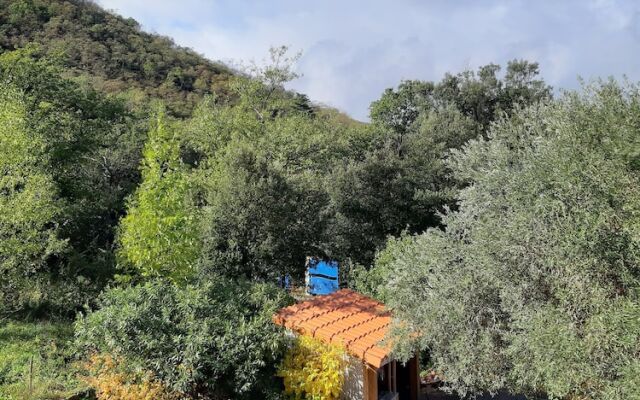 Villa Bonheur Vallespir - Villa Entière