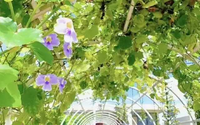 The Park Resort Mondulkiri