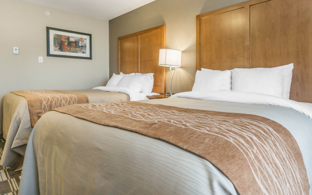 Comfort Inn & Suites Edmonton International Airport