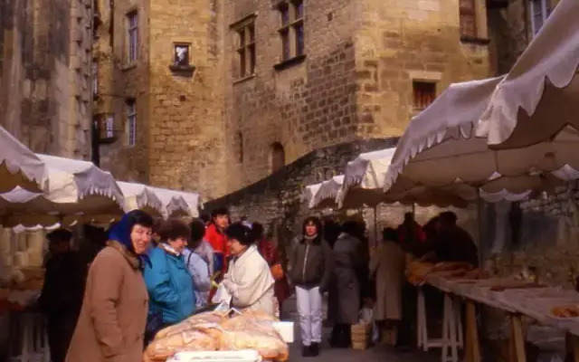 Villa With one Bedroom in Sarlat-la-canéda, With Private Pool, Enclose