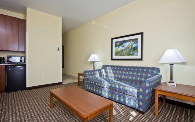 Holiday Inn Express Hotel & Suites Denver East-Peoria Street by IHG