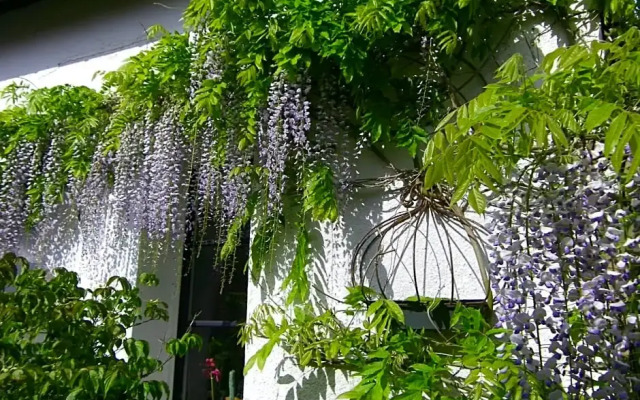 La Colline des Roses