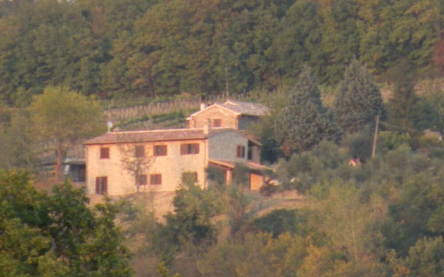 Panoramic Farmhouse With Swimming Pool - Monticello