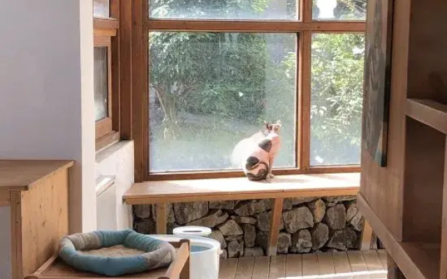 Moganshan Muddlehead's Pet Theme B&B