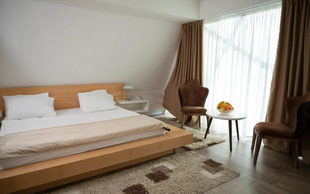 Hotel Borići