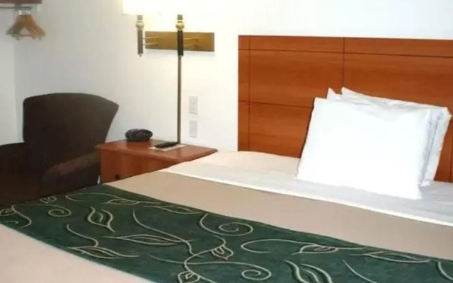 Oak Tree Inn - Comfort