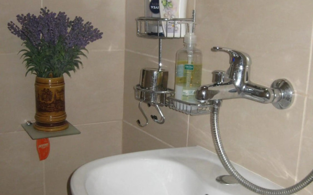 Apartment Shesti Uchastak