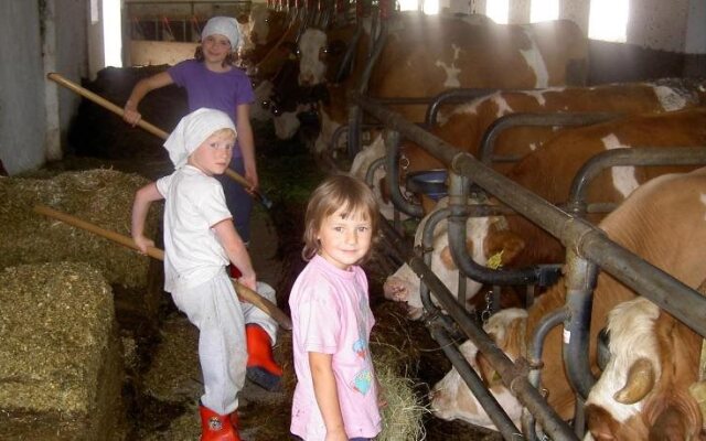 Urlaub am Bauernhof Wenigeder - Familie Klopf