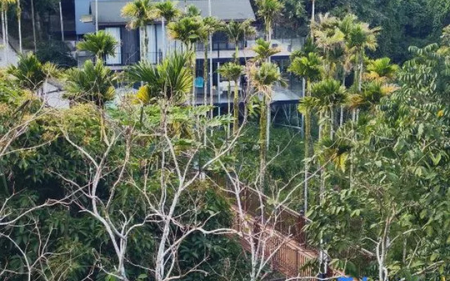 Wanning Olive Tree Villa