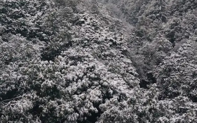 Hotel paradise hills