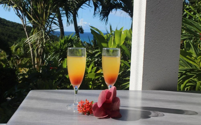 Villa prestige Caraïbes Bonheur