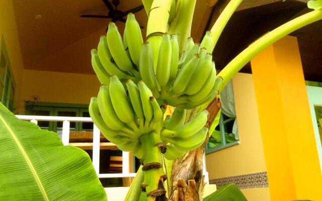 Papaya Garden Villa
