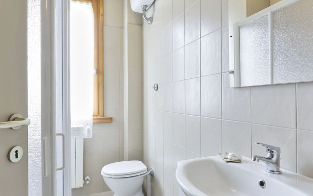 Tulipano Sughera in Sughera