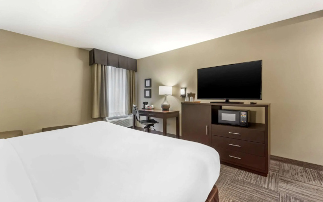 Comfort Inn & Suites Sea-Tac Airport
