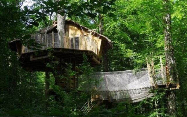 les cabanes du lac du der