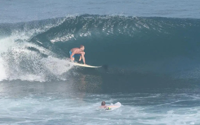 Mamo Bali Uluwatu