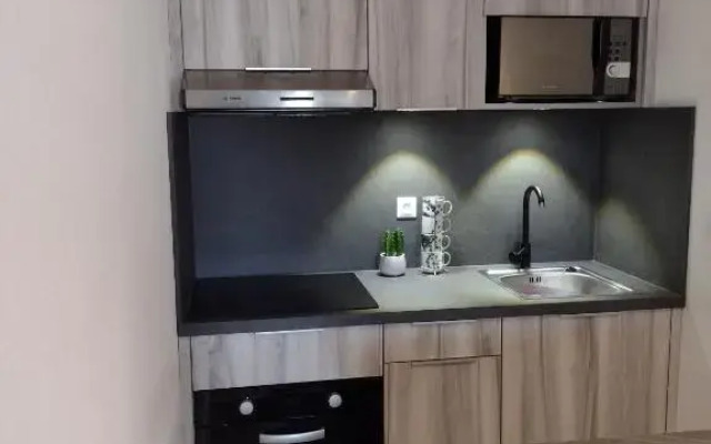 Charmant studio classé 3 étoiles au coeur de Niederbronn-les-Bains