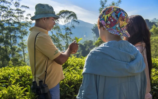 Strathdon by Zinc Journeys