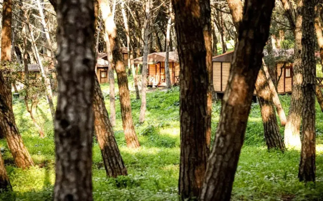 Lisboa Camping