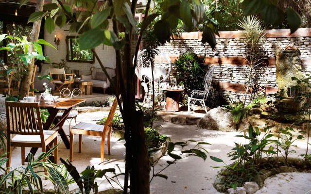 Hotel La Semilla, Playa del Carmen, a Member of Design Hotels - Adults Only