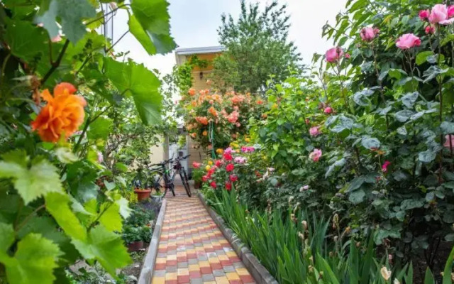 Nikos Guest House