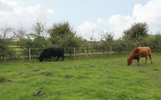 The Stable