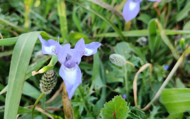 Palm garden paradise