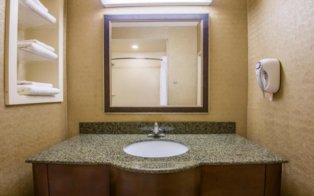 Holiday Inn Express Hotel & Suites Clovis