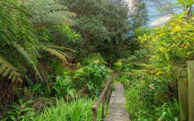 Hosts on the Coast Tui's Feast