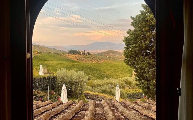 Room in B&B - Room Overlooking the Vineyards and Florence