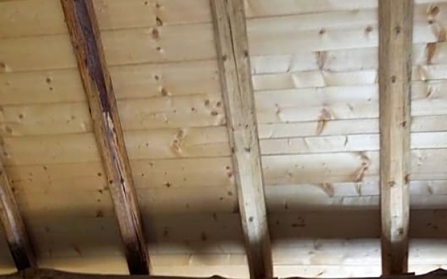 La Ripa (Adults Only)