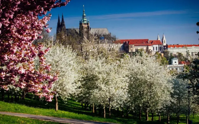 Prague Kampa APTs by Michal&Friends