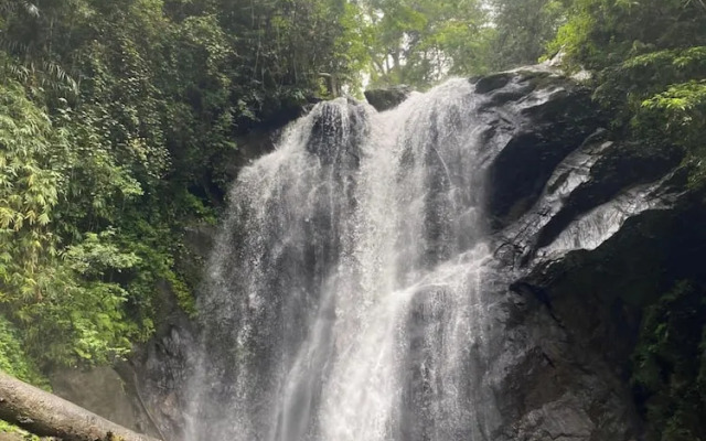 Sinharaja Serenity Retreat