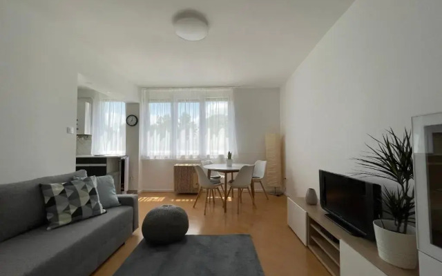 Balaton City Apartment