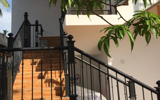 Olive Tree Guest House