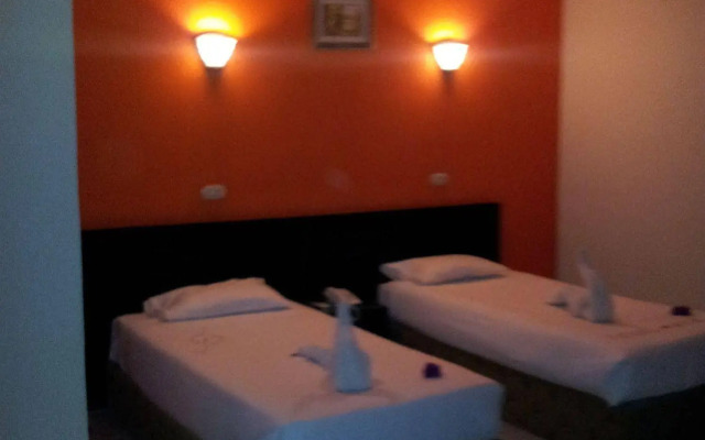 Nefertiti Sun Flower