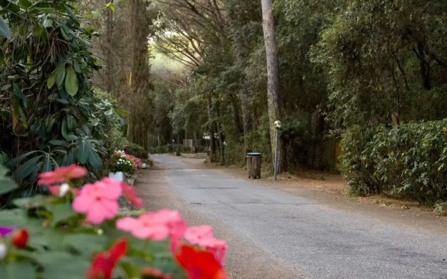 Villaggio Club Cecina