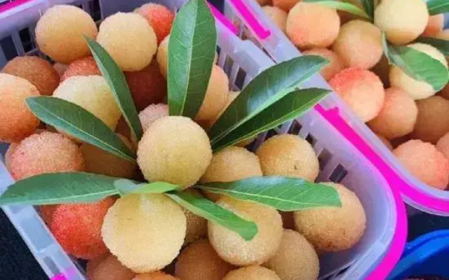 Old Village Chief Hostel