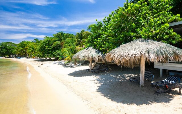 Green Bamboo Cabana