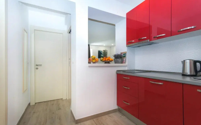 Amazing Apartments near Center & Beaches